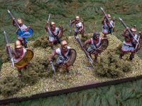 28mmpyrrhic macedonians  Hail Caesar  (15 of 26)  Victrix greek peltasts. Not bad but not my favourite models